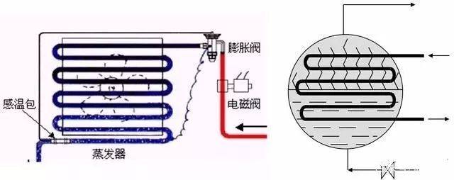 1546913904540264.jpg u=1203888768,636180634&fm=173&app=25&f=JPEG.jpg